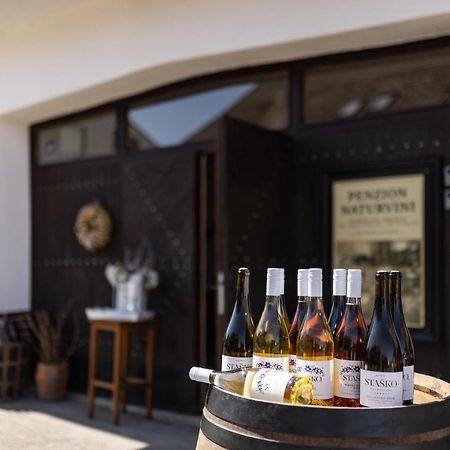 Penzion a vinařství NATURVINI Miroslav  Exterior foto