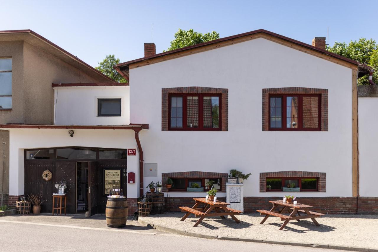 Penzion a vinařství NATURVINI Miroslav  Exterior foto
