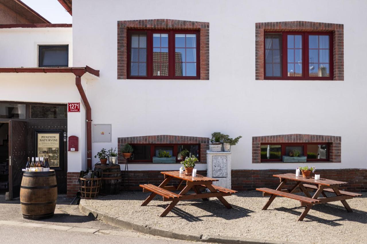 Penzion a vinařství NATURVINI Miroslav  Exterior foto