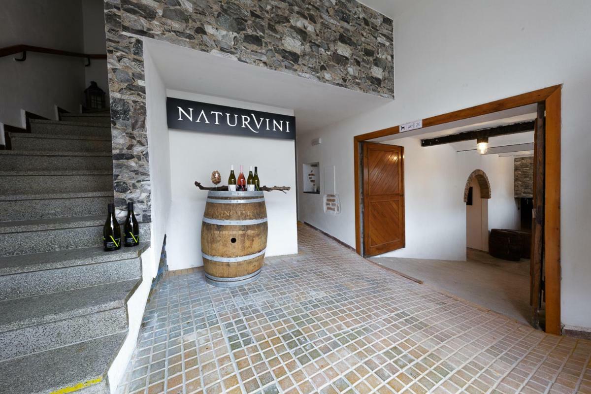Penzion a vinařství NATURVINI Miroslav  Exterior foto