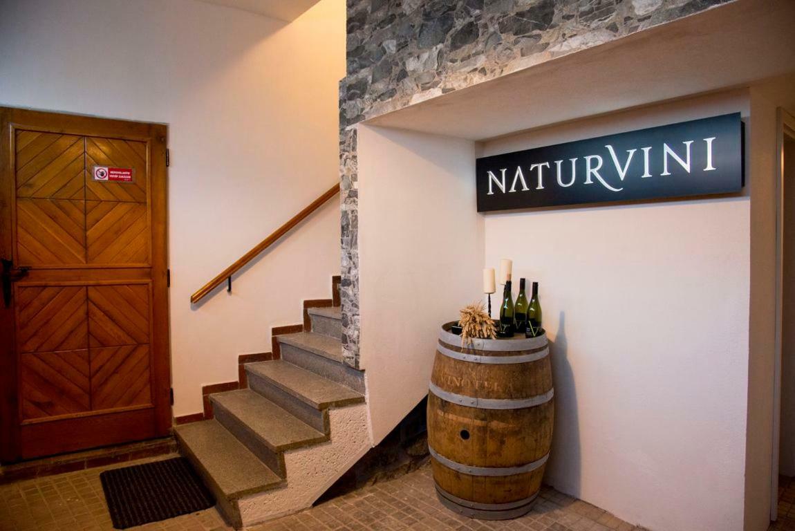 Penzion a vinařství NATURVINI Miroslav  Exterior foto
